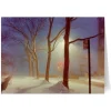 The Met Store Holiday Cards*Staller: Sutton Place, New York City Holiday Cards